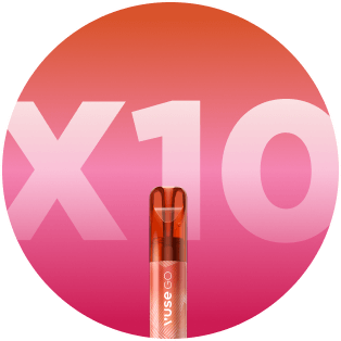 Vuse Go kit 10